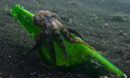 Our Oceans.