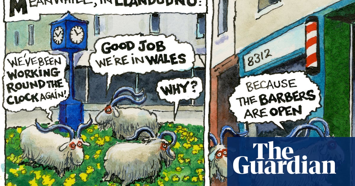 Steve Bell’s If … the residents of Wales flock to the barbers