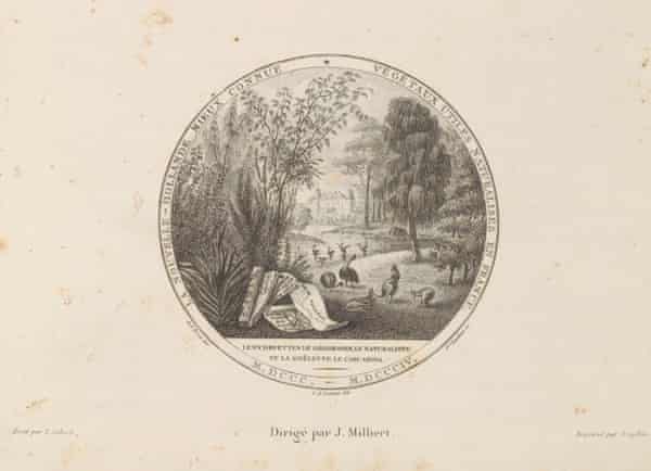 An illustration of plants brought back by the Baudin expedition with emus and kangaroos