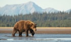US army identifies 'inspirational' soldier killed in Alaska bear attack