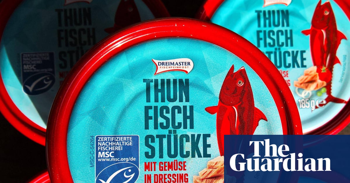 MSC's blue tick' scheme creates illusion of ethically sourced fish, study claims