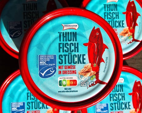 MSC’s ‘blue tick’ scheme creates illusion of ethically sourced fish, study claims