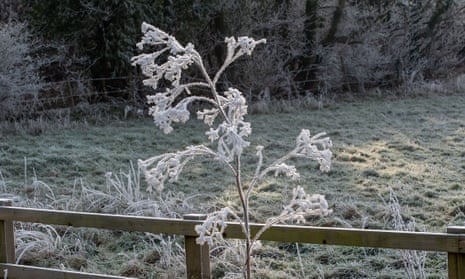 Readers reply: why is frost so beautiful?, Winter
