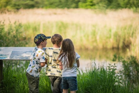 Pensthorpe offers family camping as well as great wildlife watching