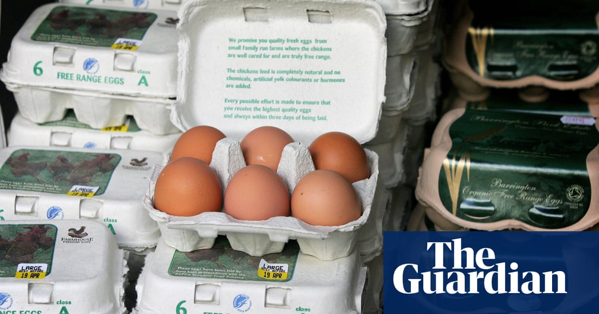 Free-range eggs unavailable in Britain from Monday | Bird flu ...