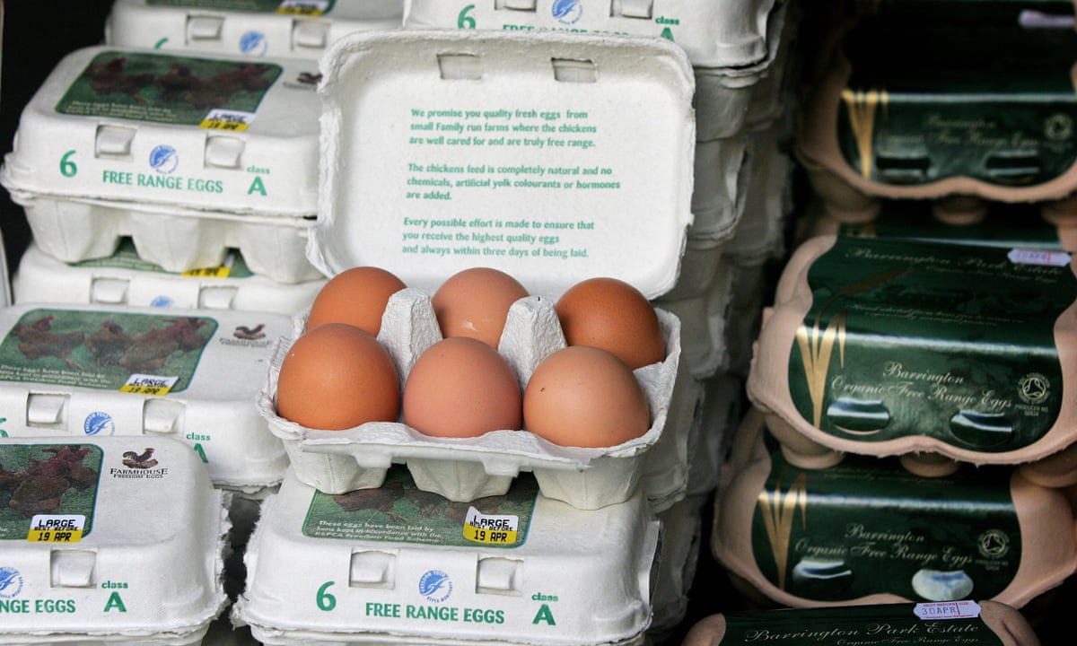 Free-range eggs unavailable in Britain from Monday | Bird flu ...