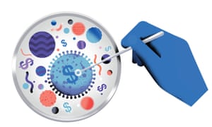 Why Can T We Cure The Common Cold News The Guardian