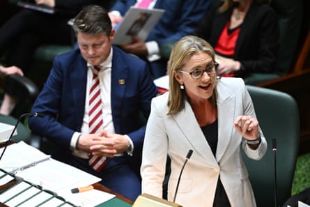 Victorian premier Jacinta Allan speaks in parliament