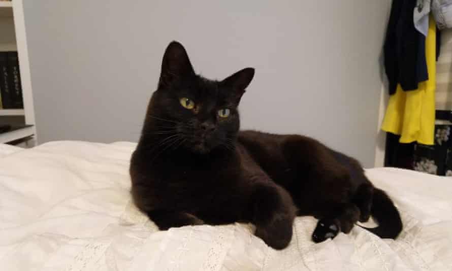 Dusty ... ‘She’s the best decision I’ve made in a long time.’