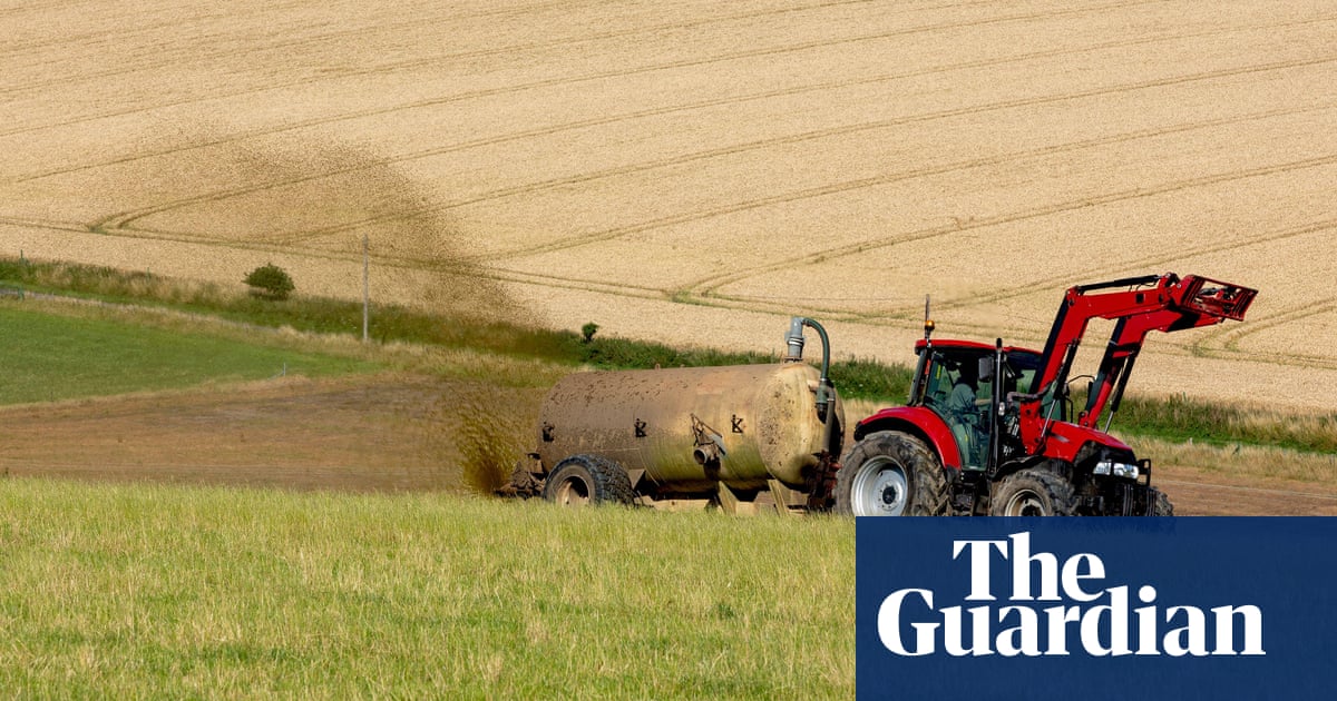 ‘Like fly-tipping’: ministers ignoring pleas to cut sludge fertiliser use | Farming ‘Like fly-tipping’: ministers ignoring pleas to cut sludge fertiliser use | Farming