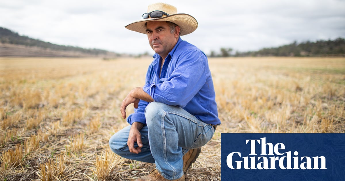 Контролирането на милиони диви прасета е сериозен проблем Но за