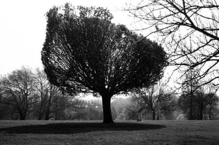 Caleb Azumah Nelson’s photograph of Brockwell Park in Herne Hill, south London.
