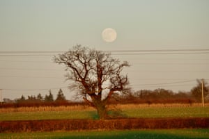 Wolf moon rises in the dusky pink skies at twilight over the countryside in Dunsden, Oxfordshire