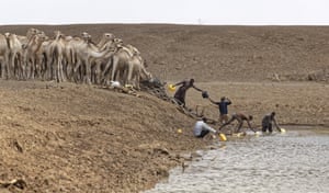 Camel herders collect water for their animals near Moyale on the Ethiopian border.