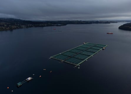 A salmon farming centre in Chilean Patagonia seen from the air on an overcast day