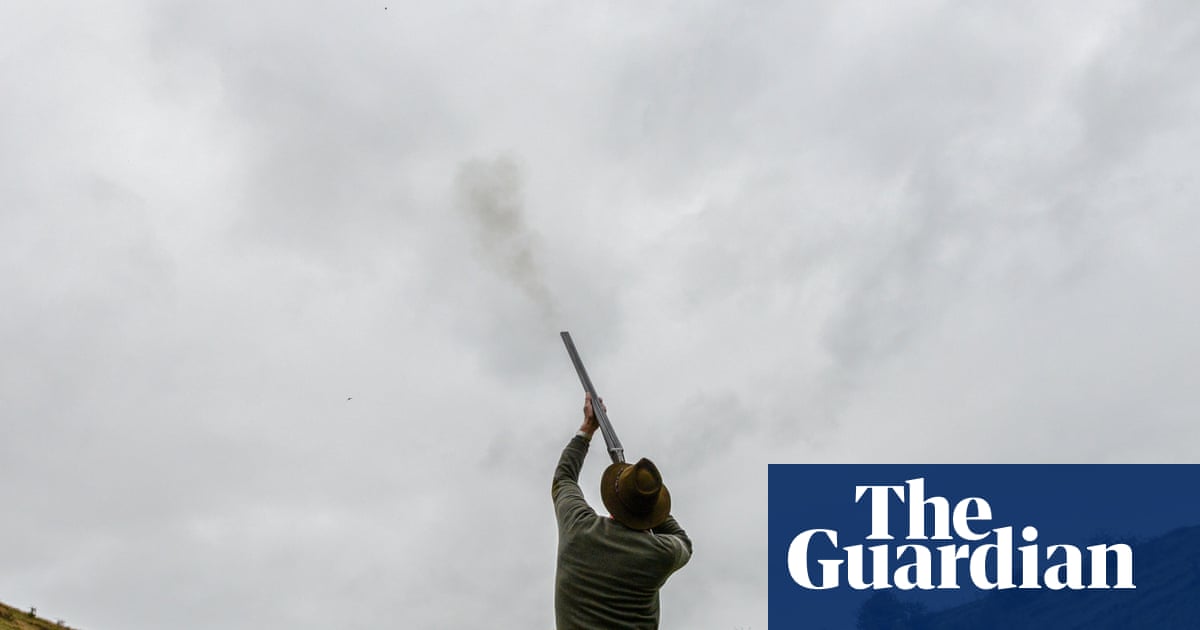 Mass breeding of game birds without welfare checks may be curtailed in England