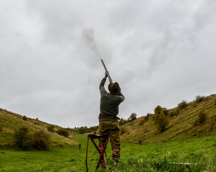 Mass breeding of game birds without welfare checks may be curtailed in England