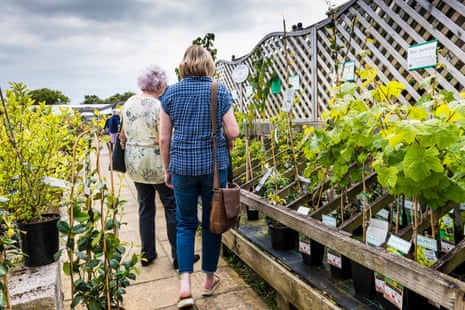 Customers buying plants successful a plot centre successful nan UK.