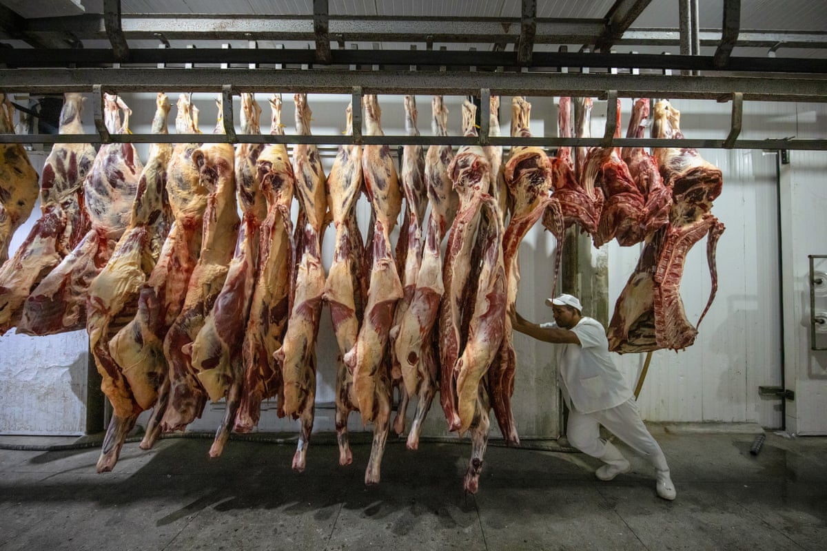 A man in white clothing moves cattle carcasses at a slaughterhouse in Sao Felix do Xingu, Para state, Brazil.