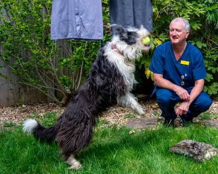 ‘I’ve done this work before, as a naive 21-year-old’ … Nick Dowling, with his dog Rosie and cat Tigger.