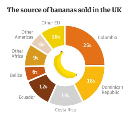 The source of bananas sold in the UK (Source: Banana Link)