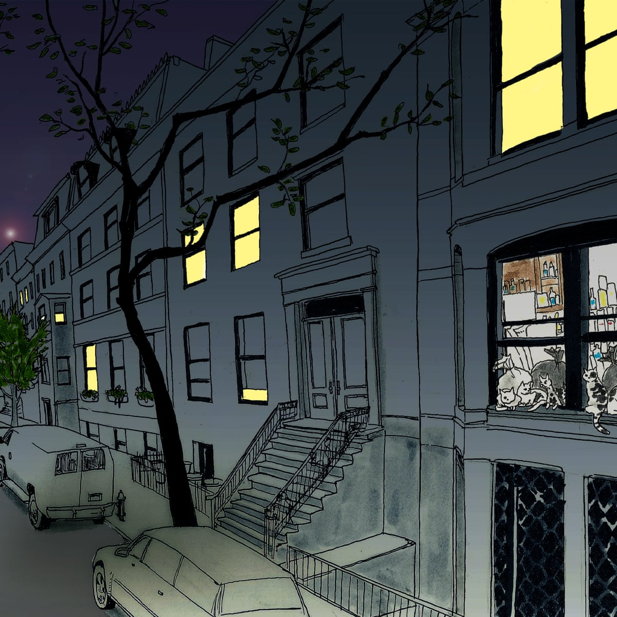 Renting Hell In New York City How My Hoarder Landlady Ruined My Life New York The Guardian Renting Hell In New York City How My Hoarder Landlady Ruined My Life New York The Guardian