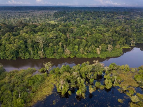 Aerial view of Congo rainforest along Rembo Ngowe River, Akaka, Loango national park, Gabon.