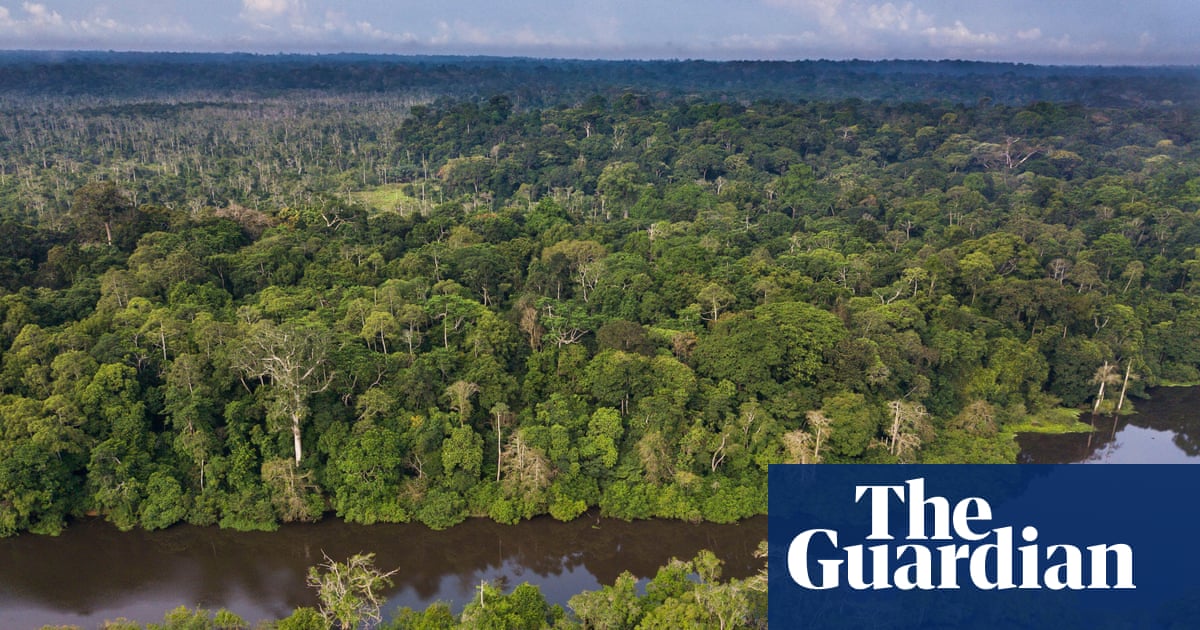 The Congo basin may be the world’s most important rainforest – why is it the least researched?