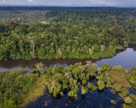 Aerial view of Congo rainforest along Rembo Ngowe river, Akaka, Loango national park, Gabon.