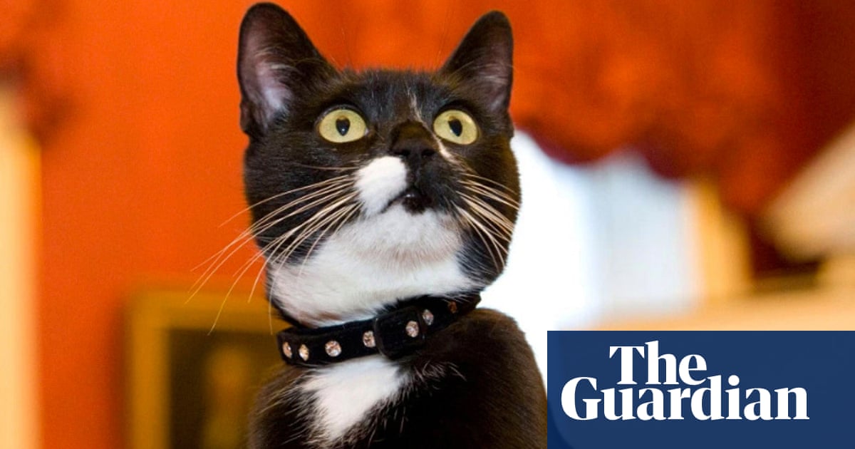 Cat Inet Reshuffles The Long History Of Felines In Politics Life And Style The Guardian