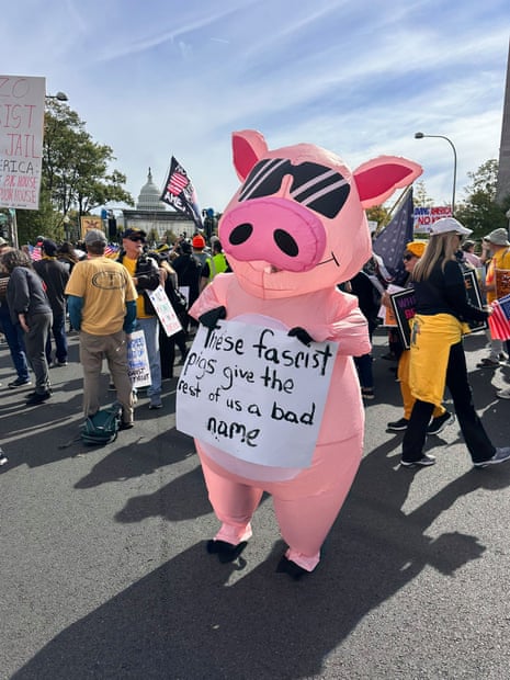 A protester dressed in an inflatable pig costume in Washington DC.