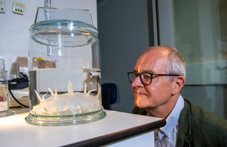 Patrick Vallance inspects a specimen in liquid in a jar at the Natural History Museum.  The monster looks a bit like the Millennium Dome.