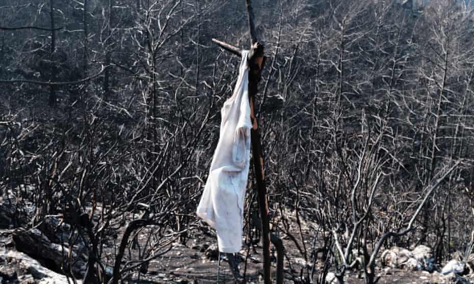 A vest hanging from a burnt tree branch in an area outside the city of Marmaris in Turke.
