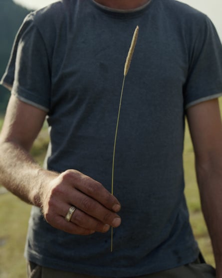 A man’s torso holding a single grass in one hand
