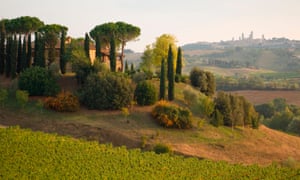 Bella Italia: a vineyard with agriturismo lodging near San Gimignano in Tuscany.