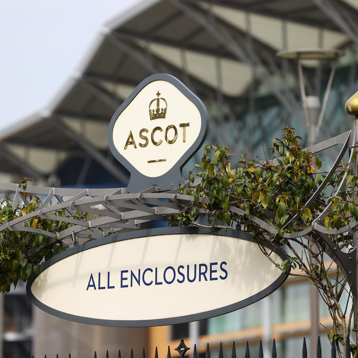 Talking Horses Royal Ascot Prize Fund For Slashed By 50 Horse Racing The Guardian