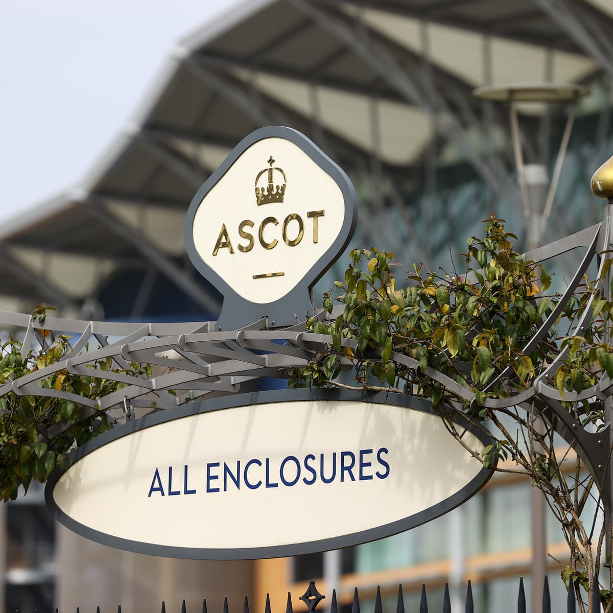Talking Horses Royal Ascot Prize Fund For Slashed By 50 Horse Racing The Guardian Talking Horses Royal Ascot Prize Fund For Slashed By 50 Horse Racing The Guardian