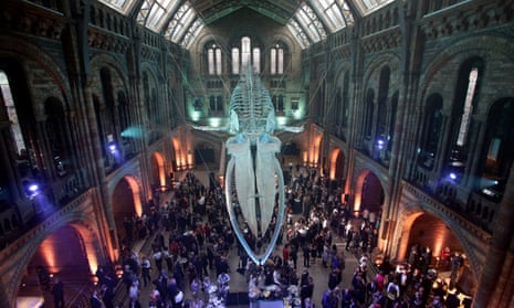 Inside the Natural History Museum, London