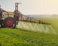 Spraying machine working on a green field