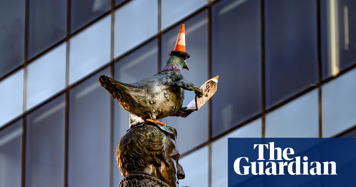 Why Pigeons Deserve Respect: A Love Letter to Columba