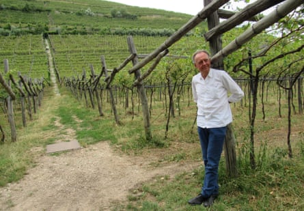 Alois Lageder at one of his vineyards, South Tirol, Italy.
