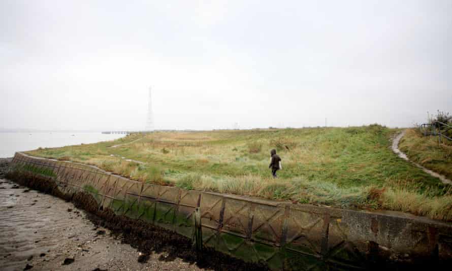 Thames shore at Swanscombe