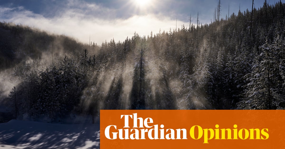 Parks, libraries, museums: here's why Trump is attacking America's best-loved institutions | Margaret Sullivan