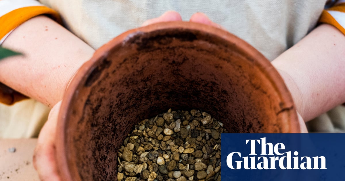 Houseplant hacks: does putting gravel at the bottom of pots improve drainage?