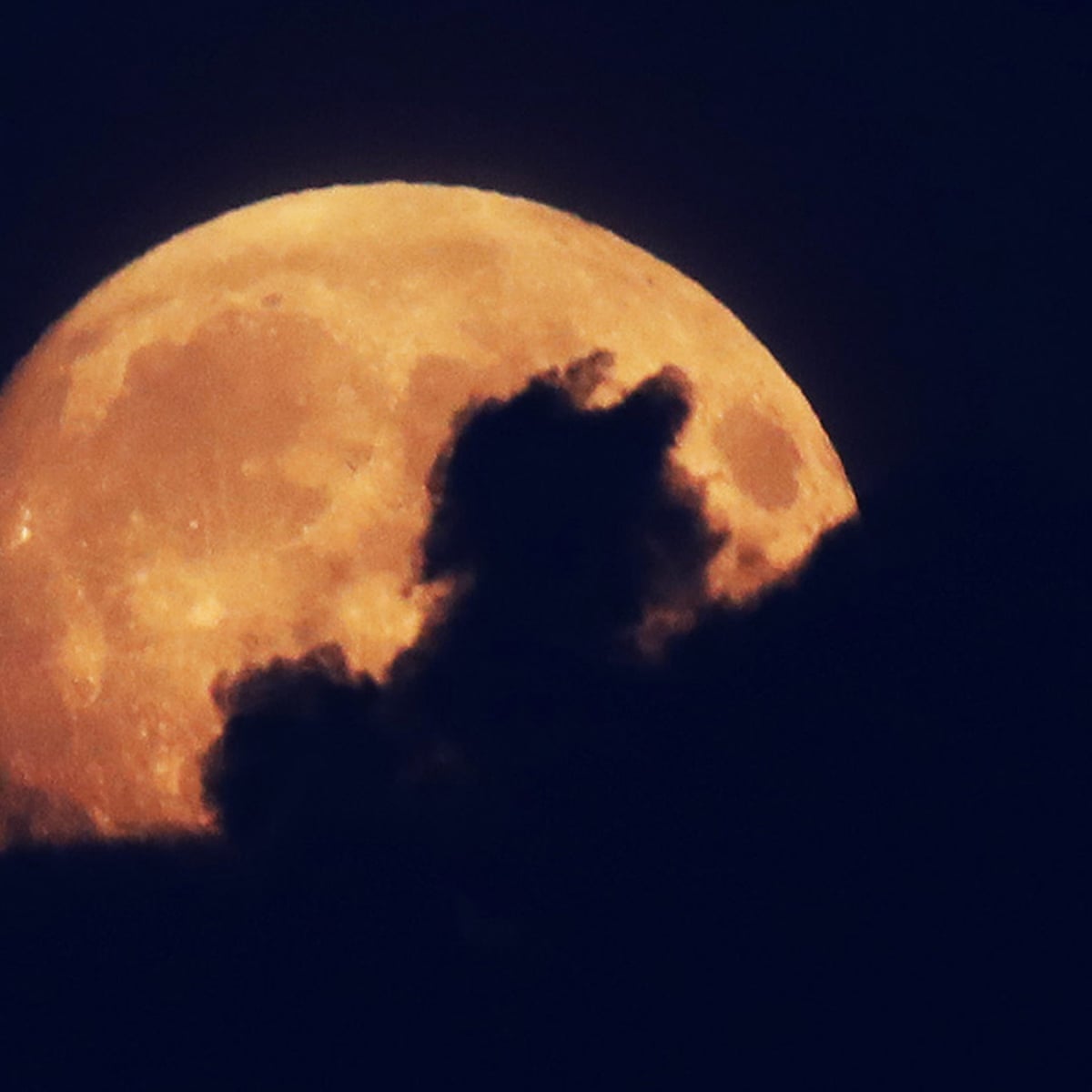 Enjoy The Blood Moon While You Can Donald Trump Has Plans For It