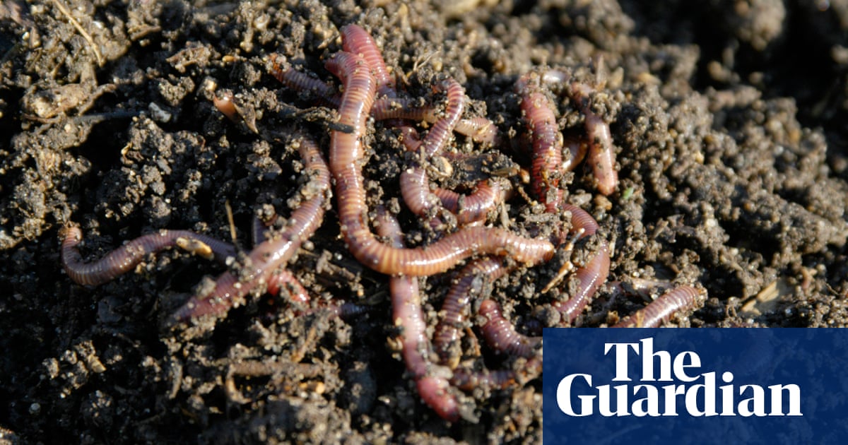 Melbourne academics win Ig Nobel prize for research showing worms vibrate like water - The Guardian