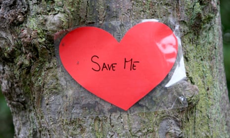 'Save me' sign on tree in Sheffield