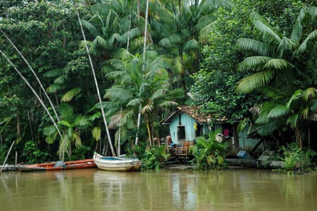 A house along a waterway in a rainforest