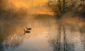 Cheshire, UK ‘Lindow Common in Wilmslow. Two Canada geese slowly drift by in the mist as a dog walker passes on the other side.’