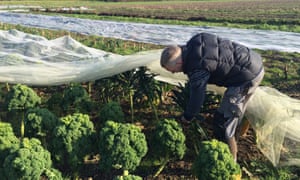 Koen Tierens on his farm in Kampenhout, Flanders.